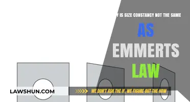 Exploring the Distinctions: Size Constancy vs. Emmert's Law in Perception