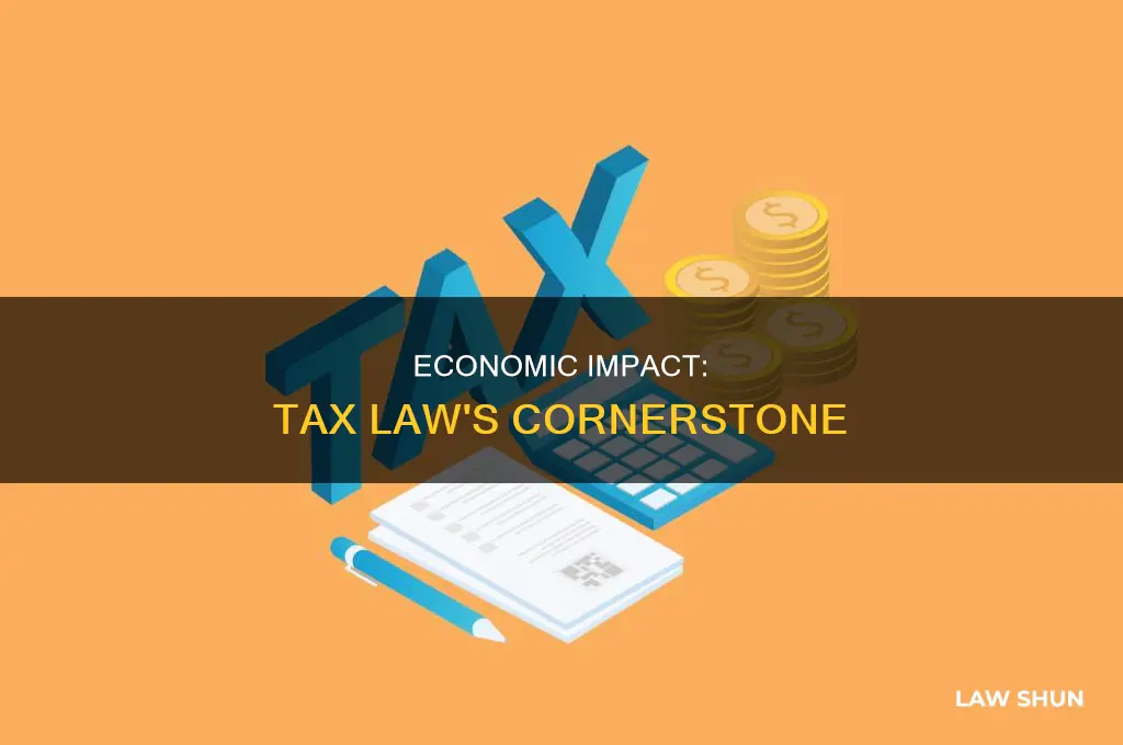 why is substantial economic effect important in tax law