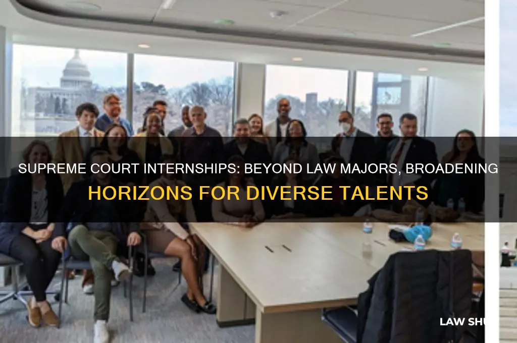 why is supreme court internship not for law majors