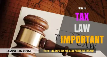 Tax Law: Essential for Society's Functioning