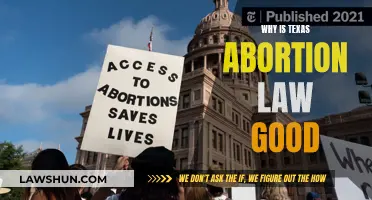 Texas Abortion Law: Protecting the Unborn and Women's Health