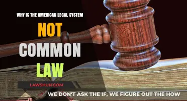 Understanding the American Legal System: Beyond Common Law