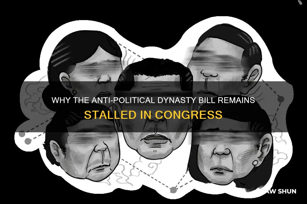 why is the anti-political dynasty bill not yet a law