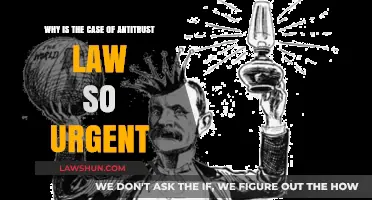 Antitrust Laws: Why the Rush?