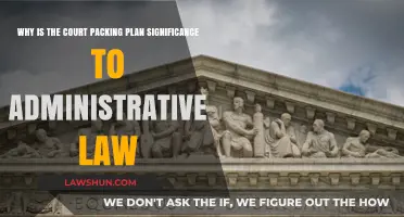 Court Packing Plan: Its Impact on Administrative Law Explained