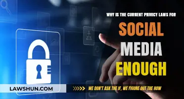 Why Current Privacy Laws Suffice for Social Media: A Comprehensive Analysis
