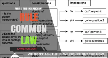 The Exclusionary Rule: A Common Law Essential
