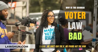 Georgia's Voter Law: Suppressing Democracy and Disenfranchising Citizens