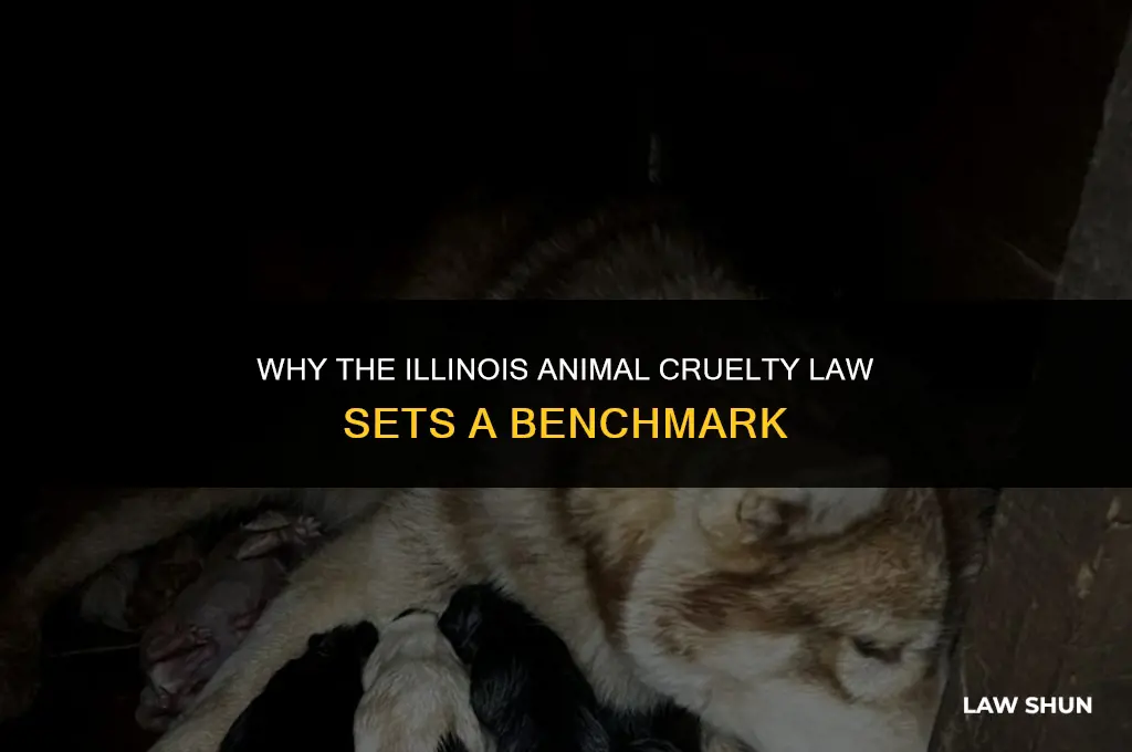 why is the illinois animal cruelty law a model law