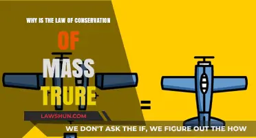 Why the Law of Conservation of Mass Always Holds True