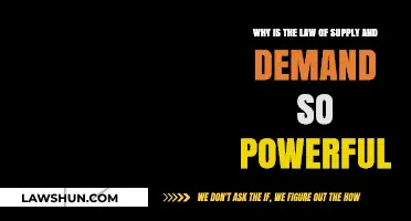 Unraveling the Power: The Law of Supply and Demand