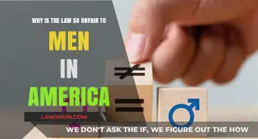 Examining Gender Disparities in American Law: A Critical Perspective