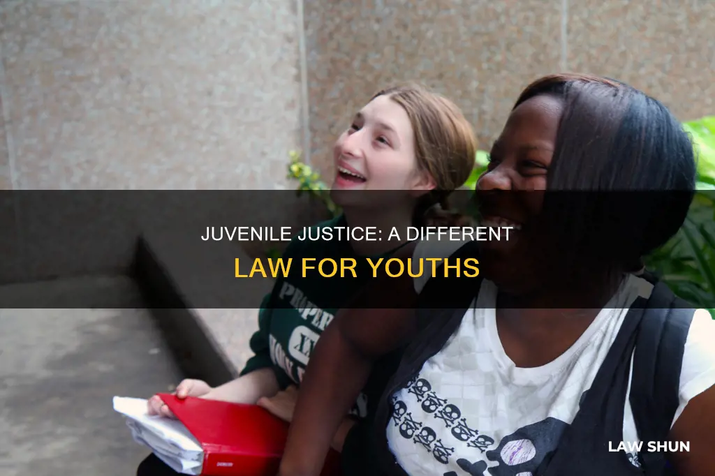 why is the law sometimes different when youths are involved