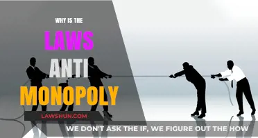 Why Anti-Monopoly Laws Are Essential for Fair Market Competition