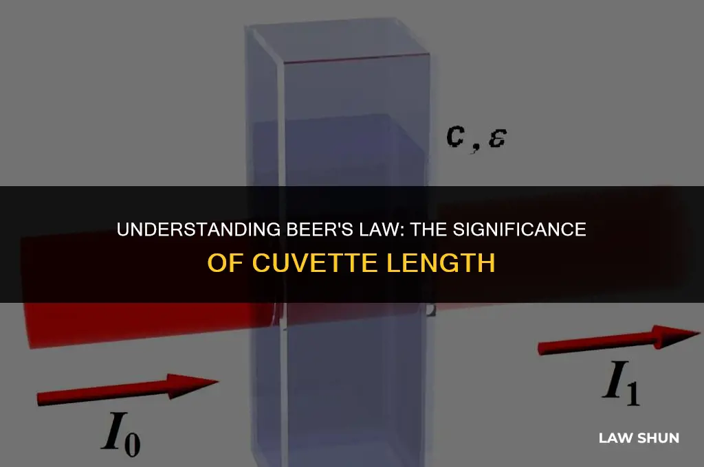 why is the length of cuvette included in beer