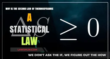 Unraveling the Statistical Nature of the Second Law of Thermodynamics