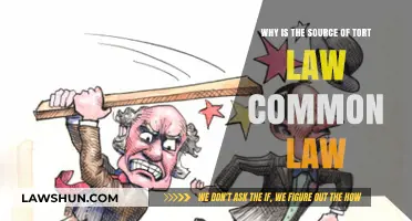 Tort Law: Common Law's Rich Legacy