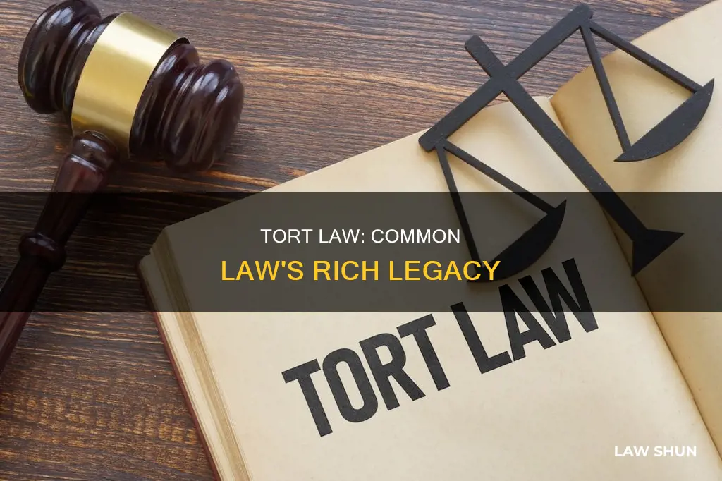 why is the source of tort law common law