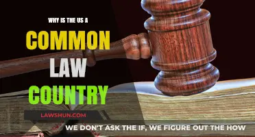 Common Law Country: Why is the US Unique?