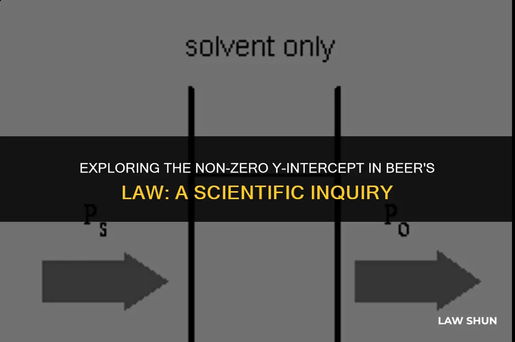 why is the y interept not 0 for beer