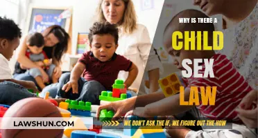 Understanding the Necessity of Child Sex Laws: Protection and Prevention