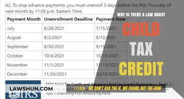 Child Tax Credit: A Law Supporting Families