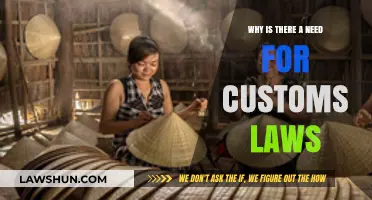 Understanding the Crucial Role of Customs Laws in Global Trade