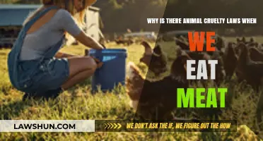 Ethical Dilemmas: Balancing Animal Welfare and Meat Consumption