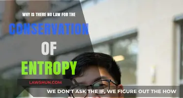 Why Entropy Conservation Laws Don't Exist: Unraveling the Science Behind It