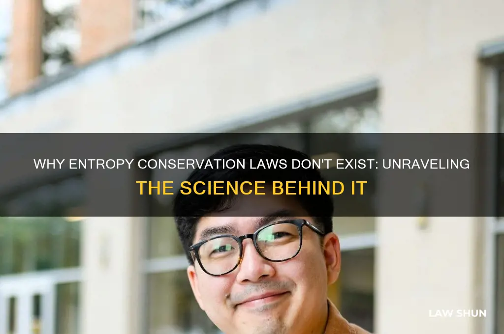 why is there no law for the conservation of entropy