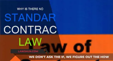 Contract Law: A Standardless Standard