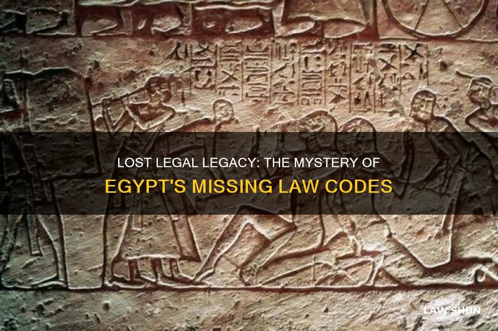 why is there no surviving law code from egypt