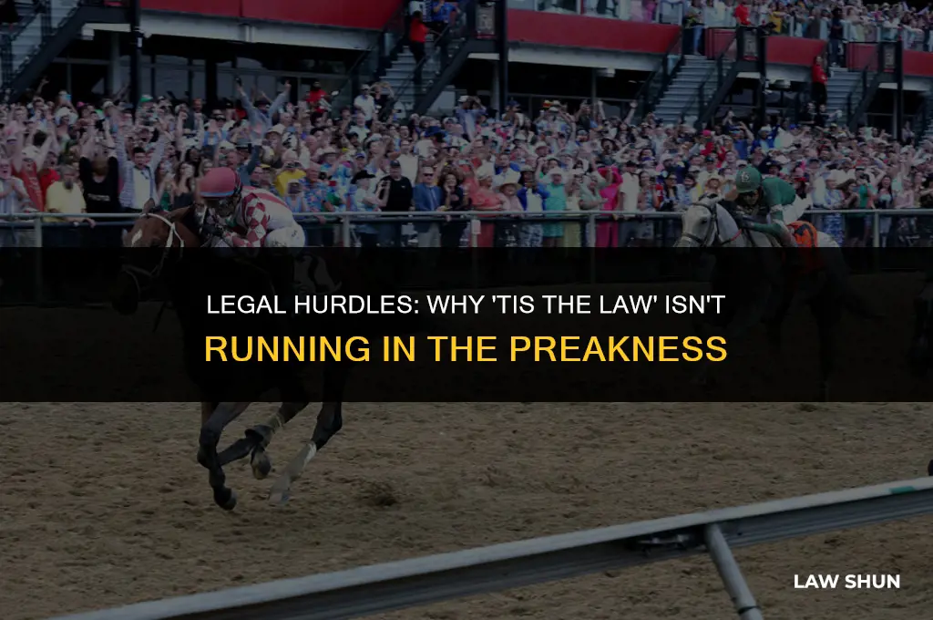 why is tis the law not running in the preakness