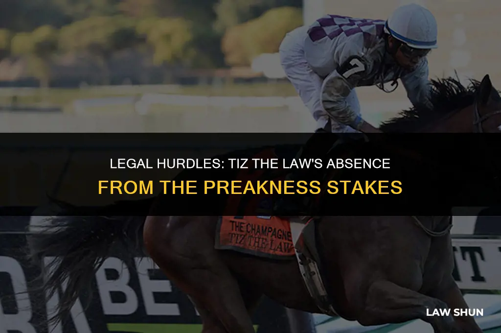 why is tiz the law not running in the preakness