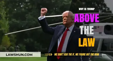 Why Trump Seems to Operate Above the Law: An Analysis