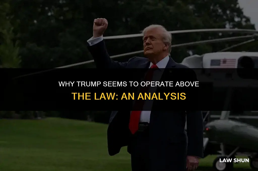 why is trump above the law