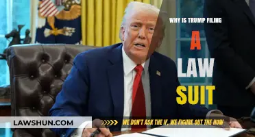 Trump's Legal Battle: Unraveling the Reasons Behind His Latest Lawsuit