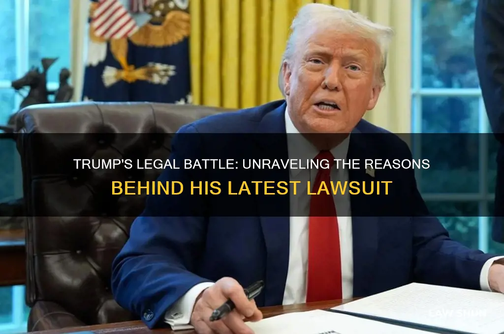 why is trump filing a law suit