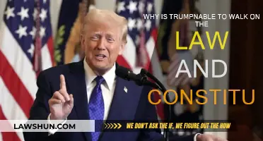 Trump's Walk on the Constitution: A Question of Legality