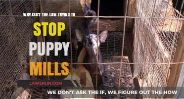 Unregulated Cruelty: Why Puppy Mills Persist Despite Public Outcry