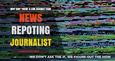 The Legal Landscape of Fake News: Why Journalists Aren't Protected