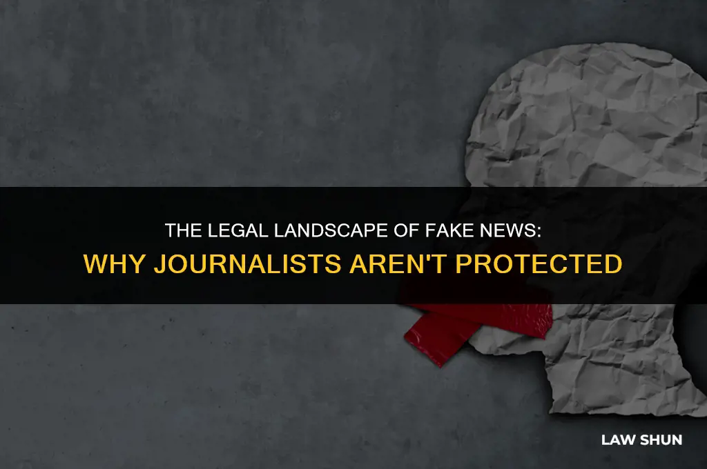 why isnt there a law against fake news repoting journalist