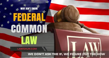 The Mystery of Federal Common Law's Absence