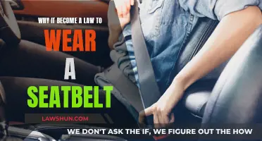 Wearing Seatbelts: Safety Law, Preventing Tragedies