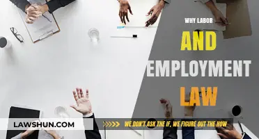 Understanding Labor and Employment Law: Essential Insights for Workers and Employers