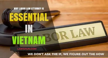 Essential Role of Labor Law Attorneys in Vietnam's Workforce