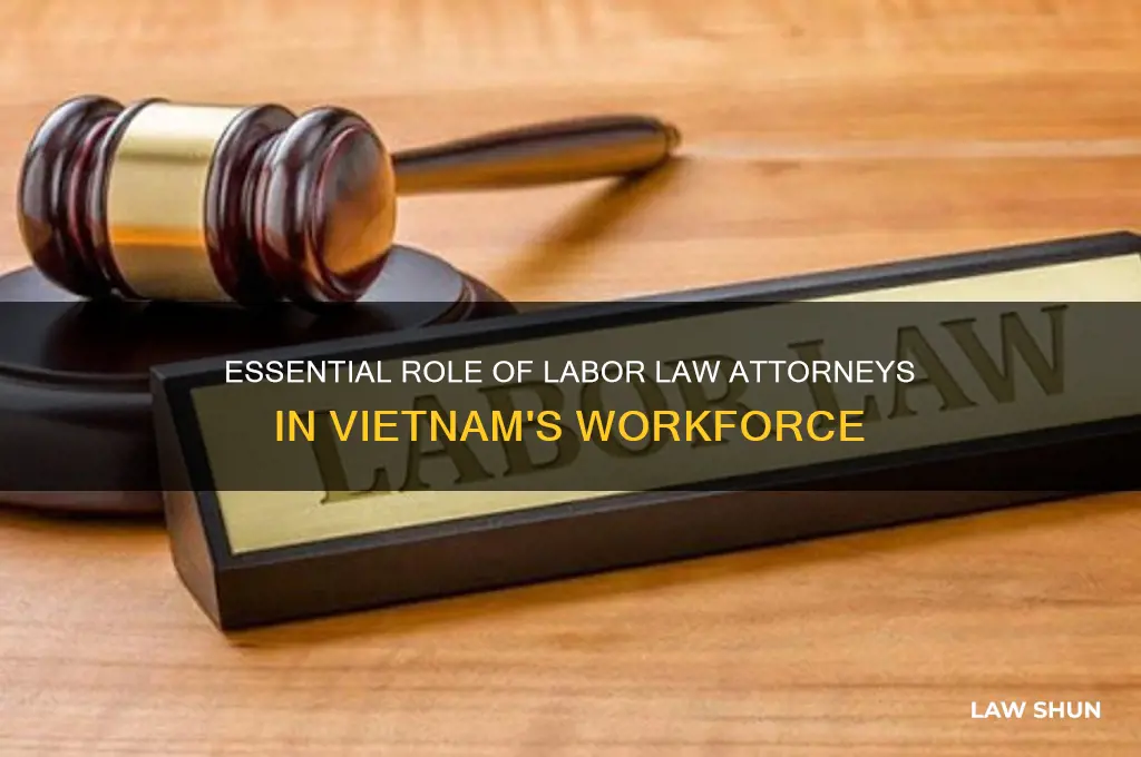 why labor law attorney is essential in vietnam