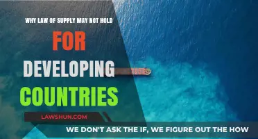 Supply Laws in Developing Nations: Why Traditional Theories May Fail