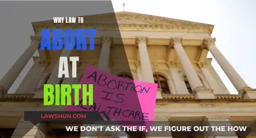 The Right to Birth: Abortion Law's Ethical Dilemma