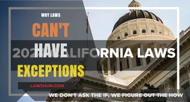 Laws Without Exceptions: The Only Way for Justice